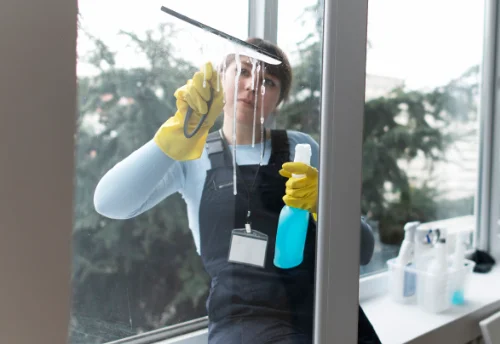 Nettoyage de vitres intérieures et extérieures à Buno-Bonnevaux